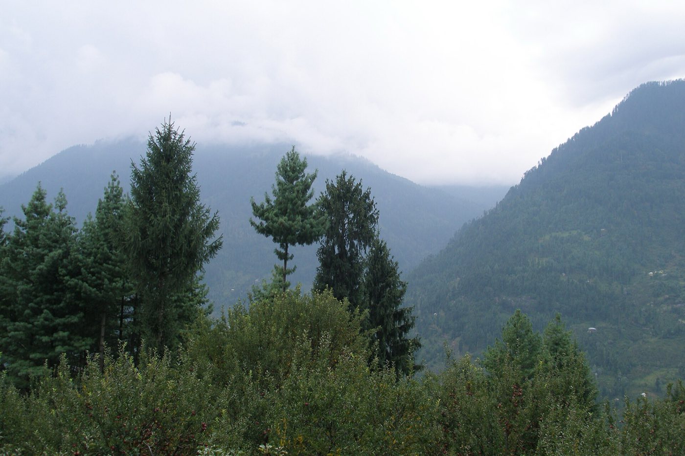The Cedar House — The Deodars, photo 4 of 7